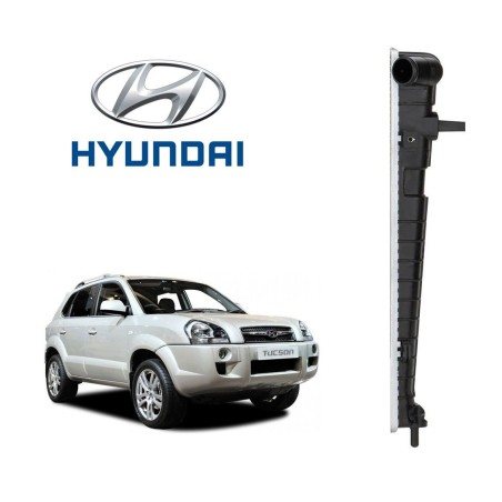 Tanque Radiador Ent. Hyundai Tucson (46.5X4.5) |COP|